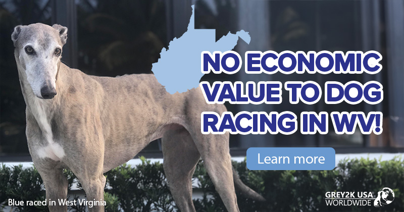 No economic value to dog racing in WV!